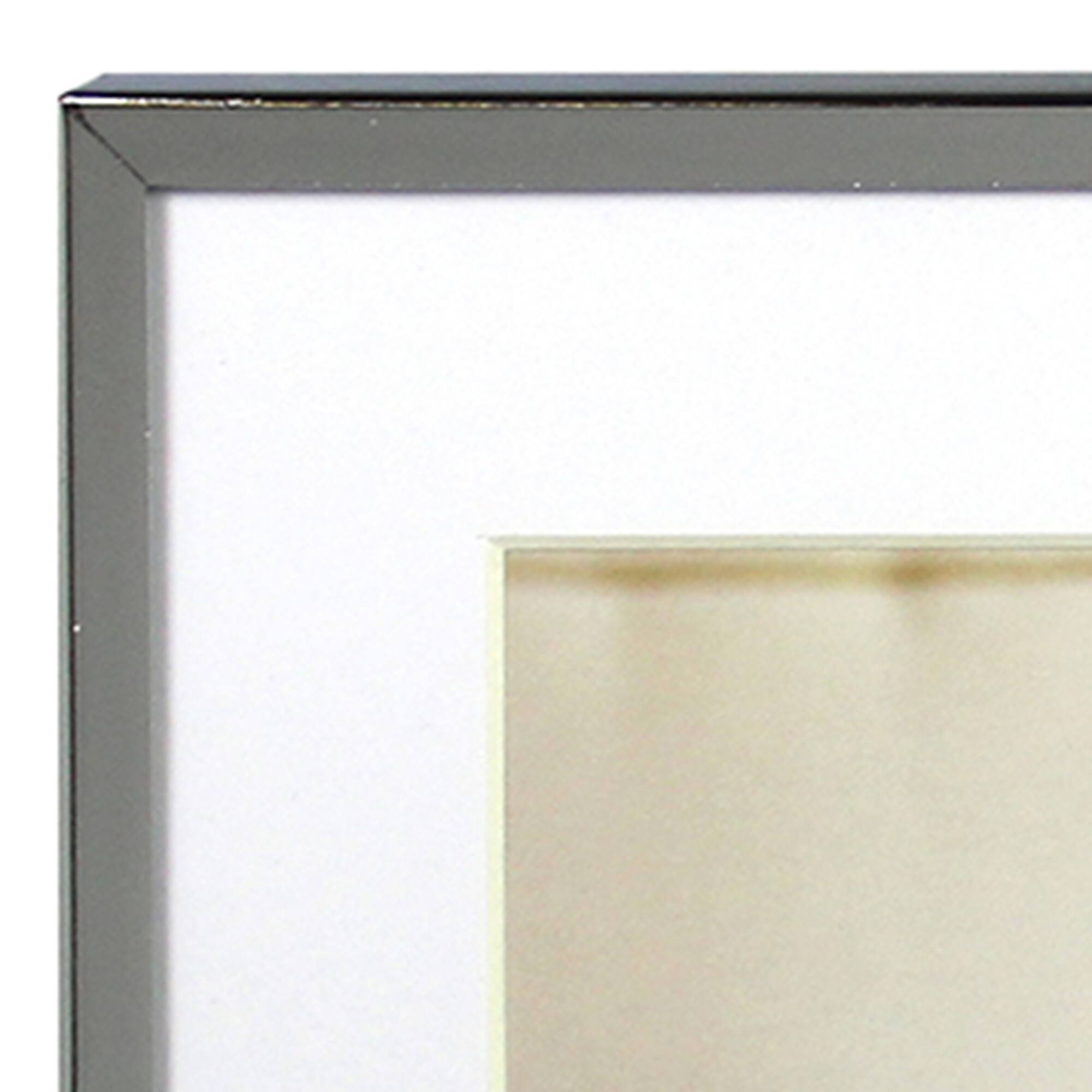 Expressions™ 2 Opening 4" x 6" Silver Collage Frame with Mat by Studio Décor®